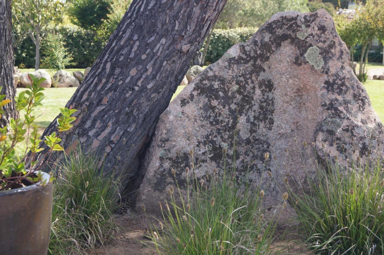 Les Jardins De Santa Giulia - Charmante Chambre D'Hote بورتو فيكشْيو المظهر الخارجي الصورة